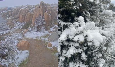 Avustralya’da Noel Günü sürprizi