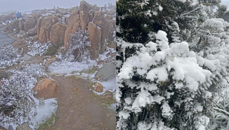 Avustralya’da Noel Günü sürprizi