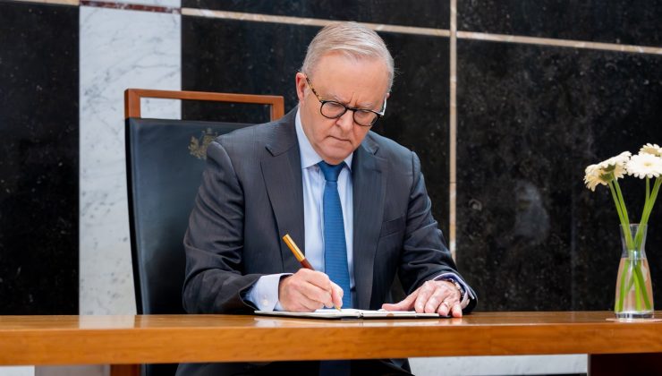 Albanese Royal Commission çağrılarını reddetti