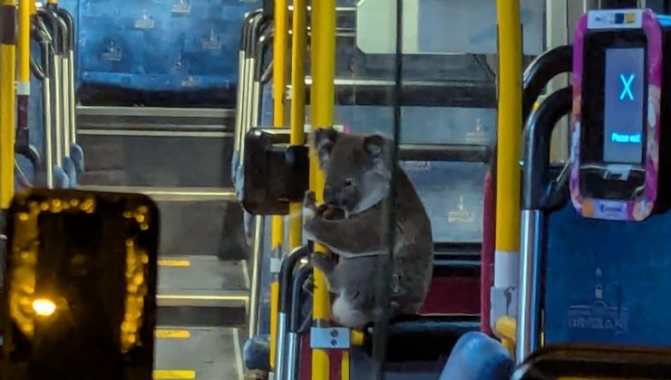Trafikten kaçıp şehir otobüsüne bindi