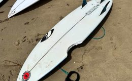 Sydney’de Köpekbalığı Paniği Çocuk Son Anda Kurtuldu