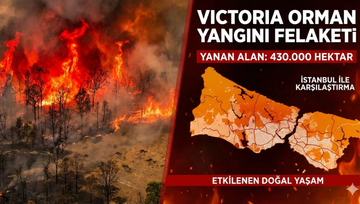 430.000 Hektar Yandı Tahliyeler Devam Ediyor