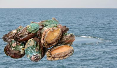 Kaçak avcılığa karşı sert uyarı