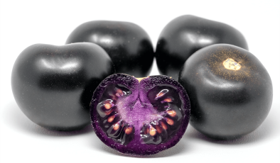 Genetiği Değiştirilmiş Domatese Avustralya’da Onay