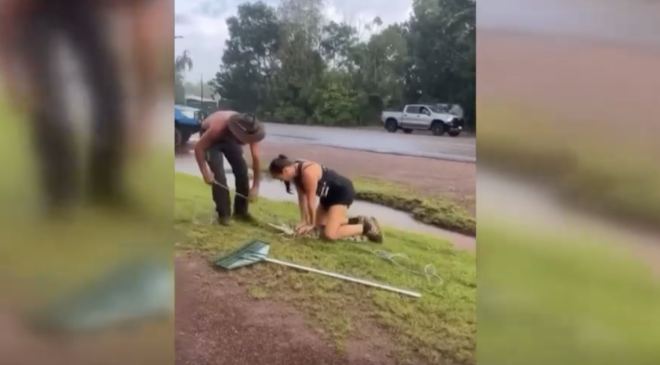 Avustralya’da Sıradan Bir Gün YOLDA TİMSAH