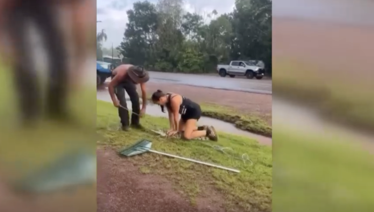 Avustralya’da Sıradan Bir Gün YOLDA TİMSAH