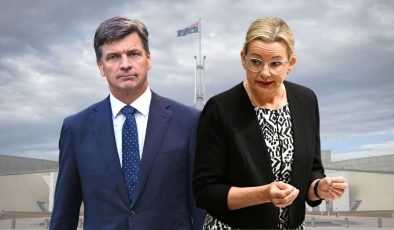 Liberal Parti’de Liderlik Krizi