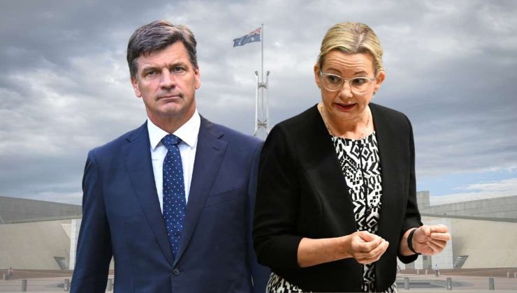 Liberal Parti’de Liderlik Krizi