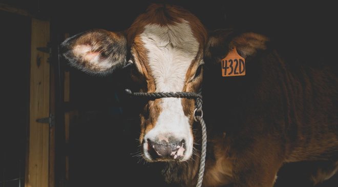 ABD’den Avustralya’ya Vergi Hamlesi