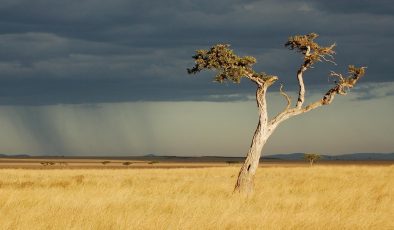 Avustralya için El Niño alarmı