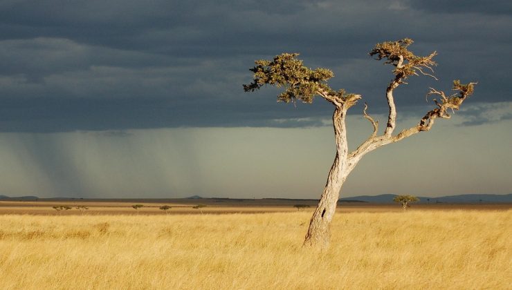 Avustralya için El Niño alarmı